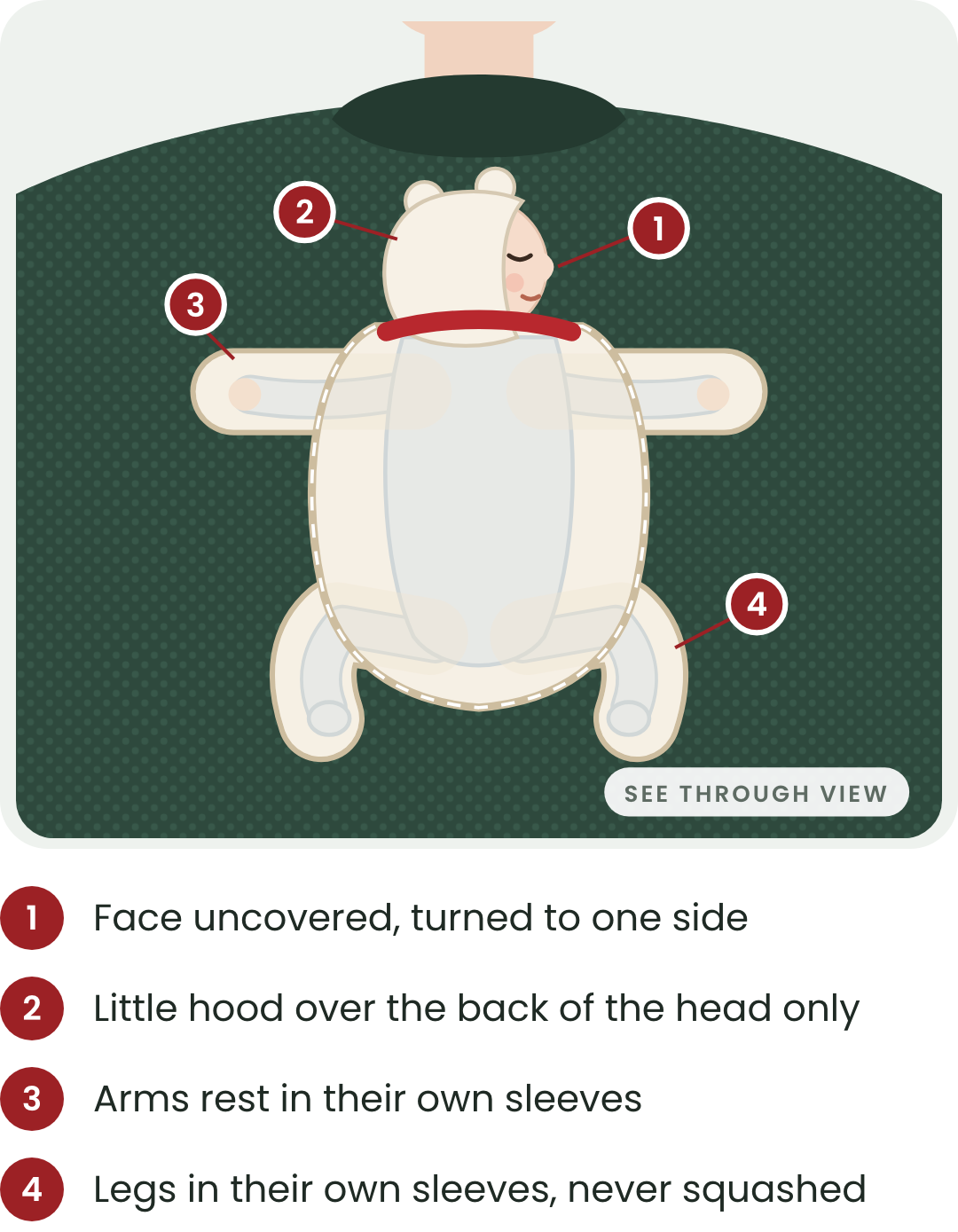 See through view of the pouch: your baby's arms and legs each sit in their own sleeve, and their face is uncovered and turned to one side